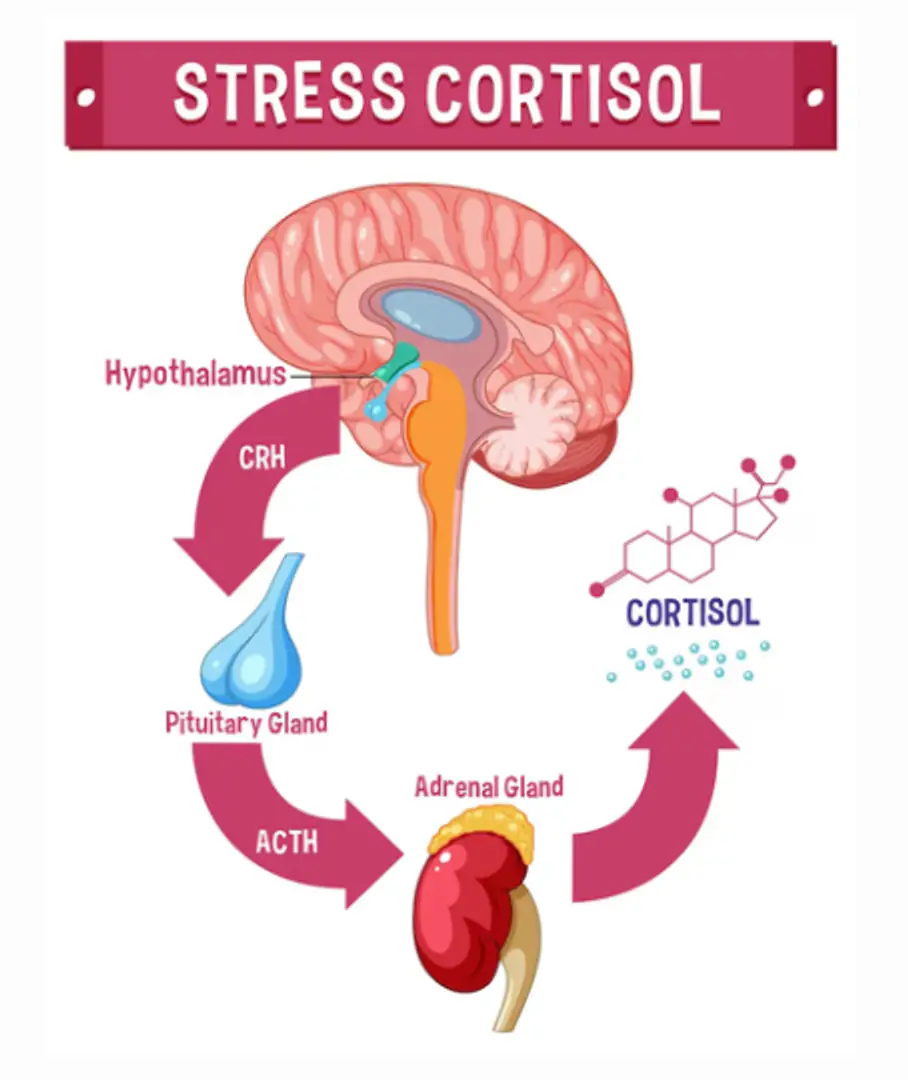 69310f87be6f7e1e7052d843